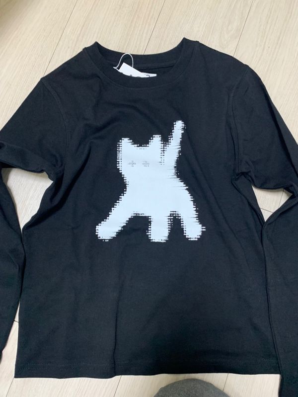 AEAE Flashed Cats Eye L/S ロンT sculptor - メルカリ