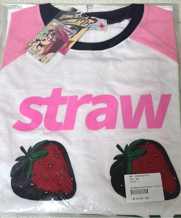 MUSINSA | WONDERVISITOR Strawberry Overfit Raglan T-shirt