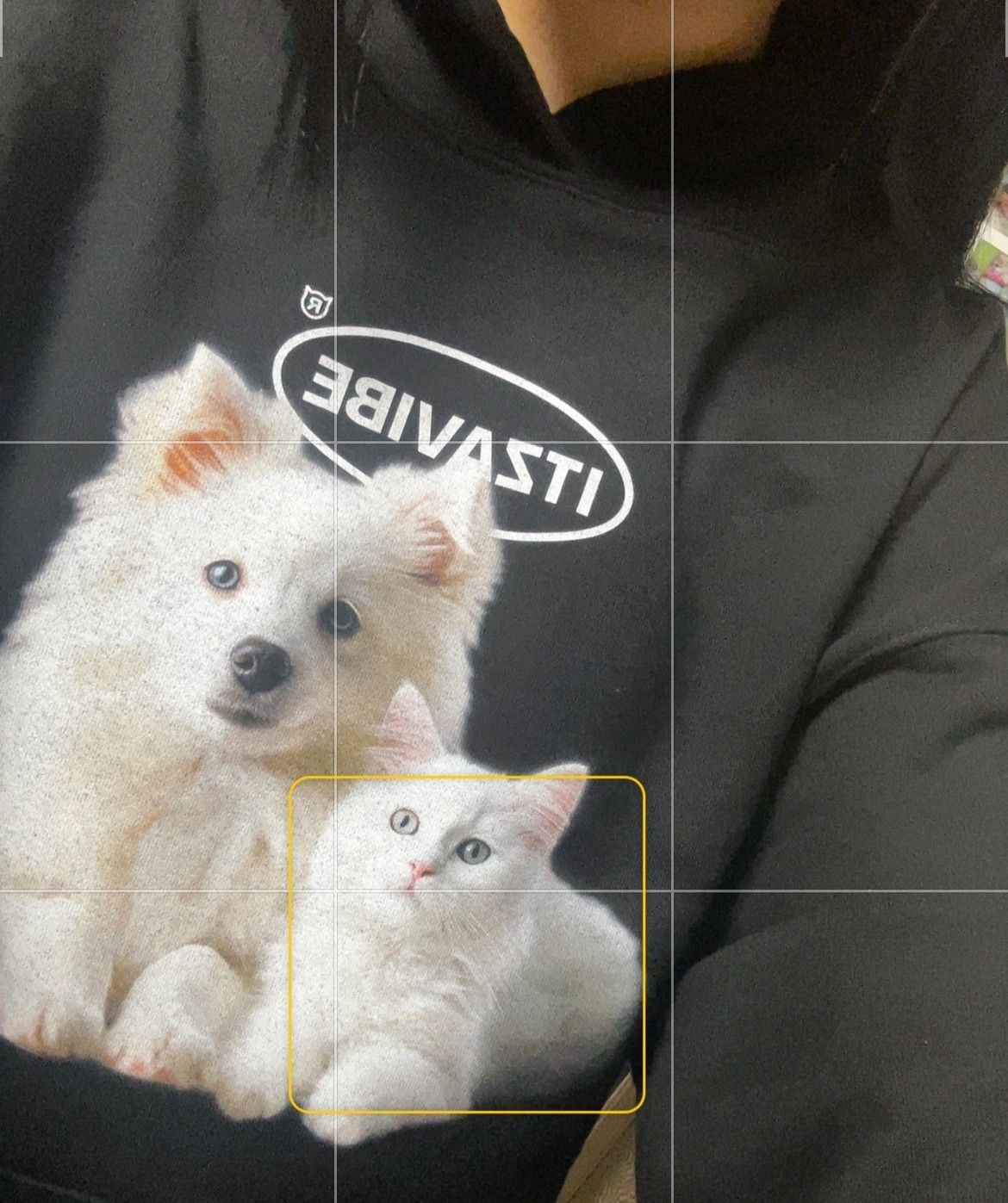 【ITZAVIBE】送料/関税込 CAT&DOG FRIENDS BAG CAT&DOG FRIENDS BAG - ITZAVIBE | 60% - Asian Fashion Online