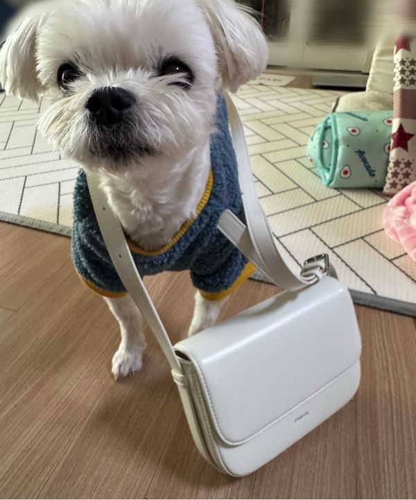 MUSINSA公式 | STAND OIL Riddle Bag · リドルバッグ