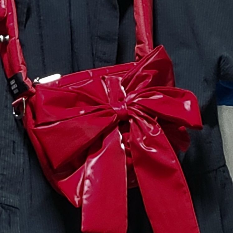 【IUGAMAKARAS】KNOTTED MICRO PADDING BAG Knotted Micro Padding Bag (Glossy-Red) - IUGAMAKARAS | 60