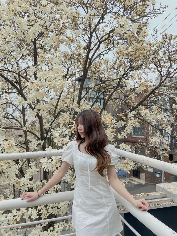 ◇Not your rose◇ Dandelion dress (Ivory) MUSINSA | NOT YOUR ROSE Dandelion Dress (Ivory)