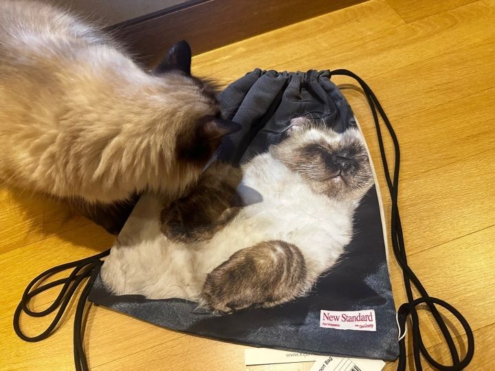 MUSINSA公式 | KIJUN Drawstring Sport Bag Cat Print
