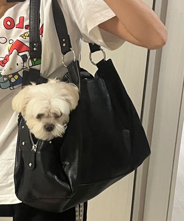 【as\"on】BONITA BIG BAG◆ 2COLOR MUSINSA | ASON BONITA BIG BAG / BLACK