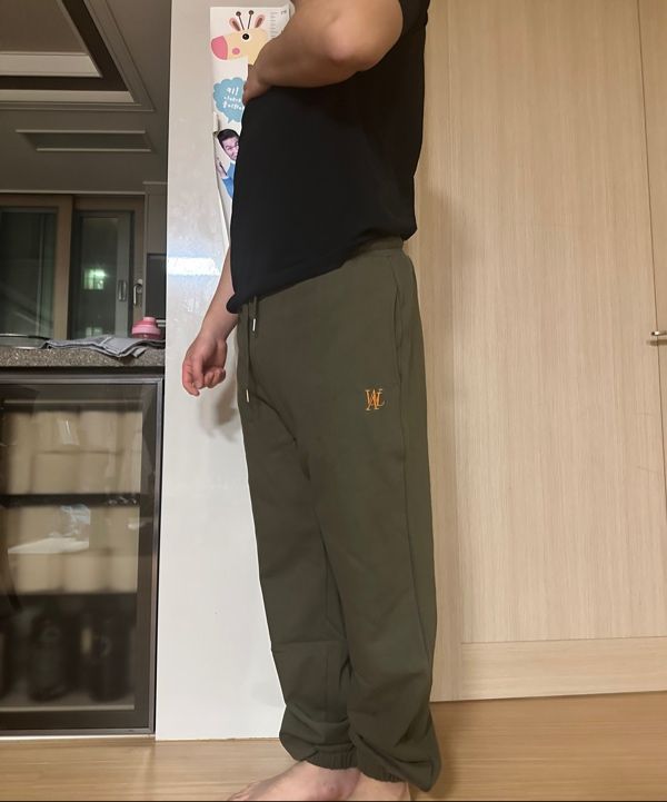 MUSINSA | WOOALONG WAL signature jogger pants - LIGHT GREY