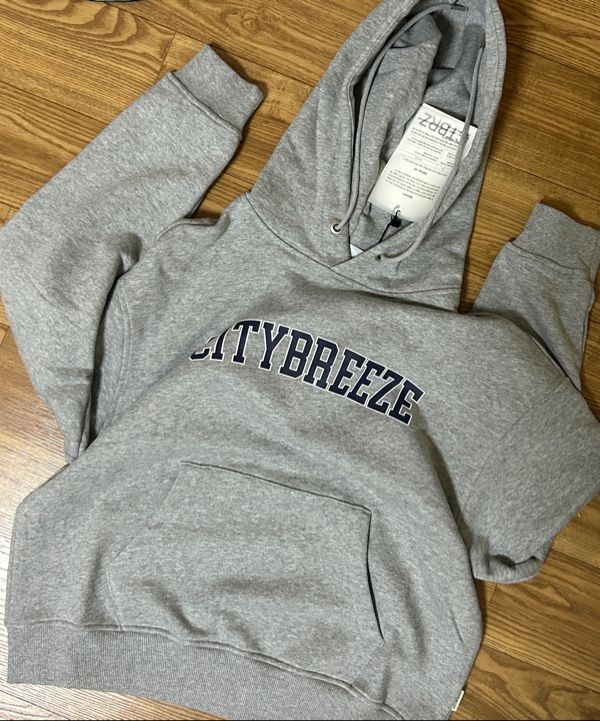 MUSINSA | CITYBREEZE Essential Big Logo Hoodie_4COLORS