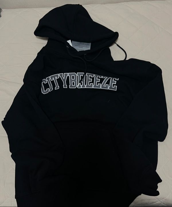 ★送料・関税込★CITYBREEZE★ESSENTIAL BIG LOGO SWEATSHIRTS★ MUSINSA | CITYBREEZE Essential Big Logo Hoodie_4COLORS