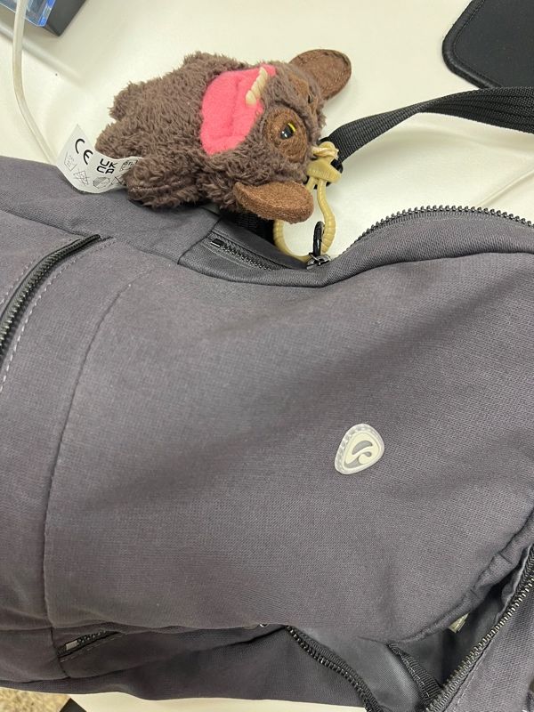 COYSEIO BACKPACK PURPLE GREY リュックセット COYSEIO] COY BACKPACK PURPLE GREY 正規品 韓国ブランド 韓国