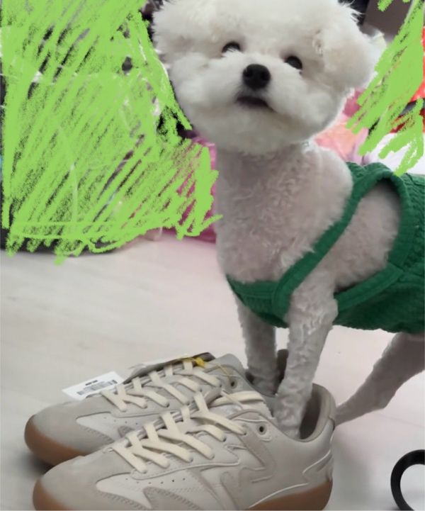 ★Wacky WiLLy★ Origin Sneakers Pink MUSINSA | WACKY WILLY Origin Sneakers Pink