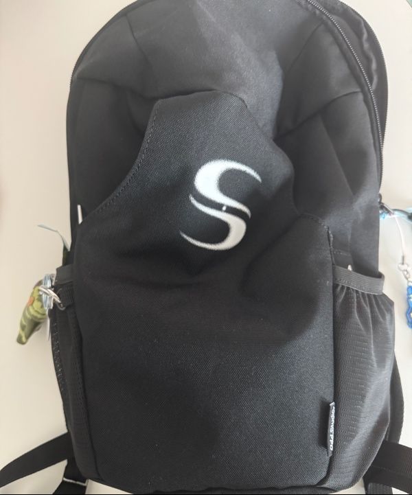 MUSINSA | ODDSTUDIO [ODD x SORANO] Curved Sporty Backpack