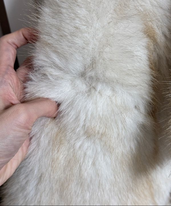 MUSINSA公式 | ILLIGO シアリングファージャケットアイボリー