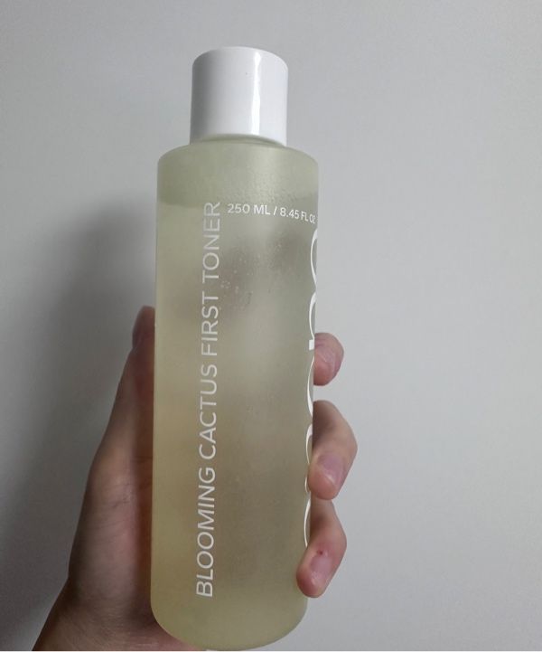 MUSINSA公式 | ONONE ブルーミングサボテンファーストトナー