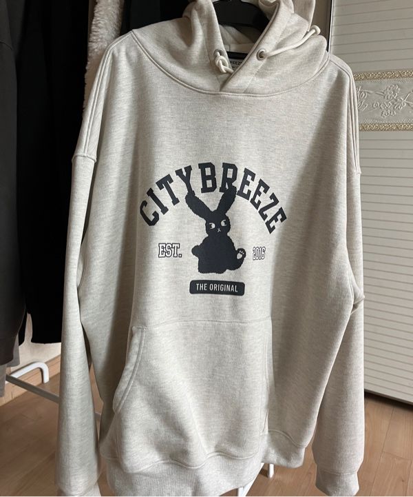 Citybreeze × NCT City Fluffy Graphic Hoodie 4BNY295 CITYBREEZE]UNISEX☆CITY FLUFFY GRAPHIC HOODIE