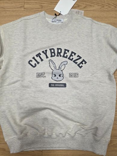 MUSINSA | CITYBREEZE City Snappy Graphic Sweatshirt_Oatmeal