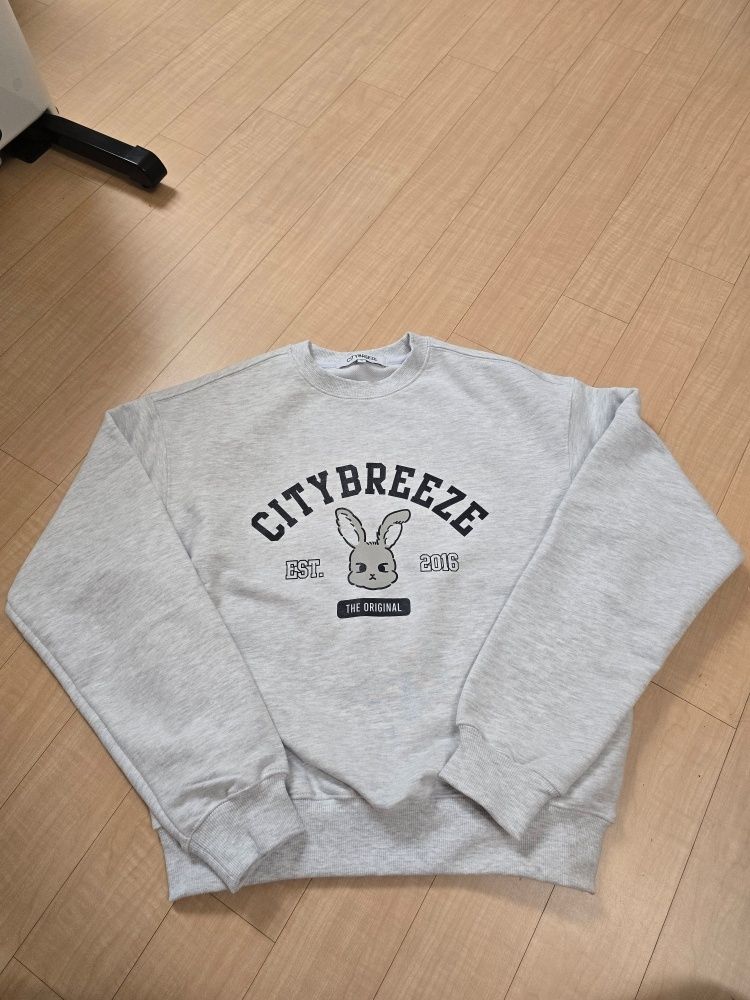 MUSINSA | CITYBREEZE City Snappy Graphic Sweatshirt_BLACK