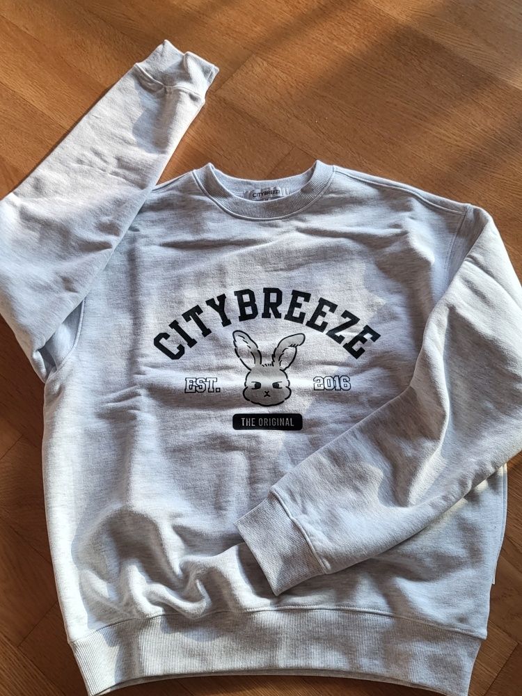 CITYBREEZE シティスナッピーグラフィックスウェットシャツ CITYBREEZE 