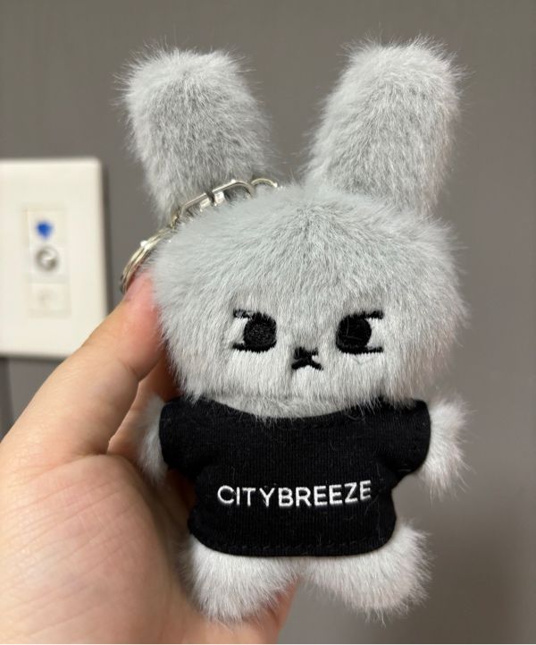 MUSINSA公式 | CITYBREEZE UNISEX City Snappy Keyring_GREY