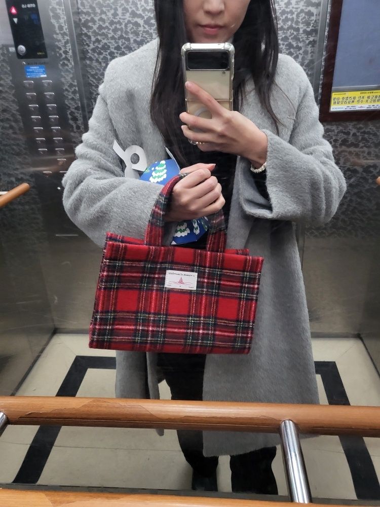 トートバッグ FOLNUA TORTE BAG [RED SUEDE] MUSINSA | FOLNUA HOLIDAY CHECK TORTE BAG [RED]