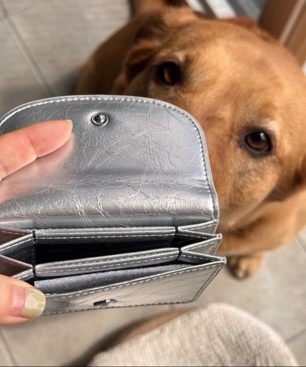 MUSINSA公式 | MATINCOX Auris Card Wallet - Black