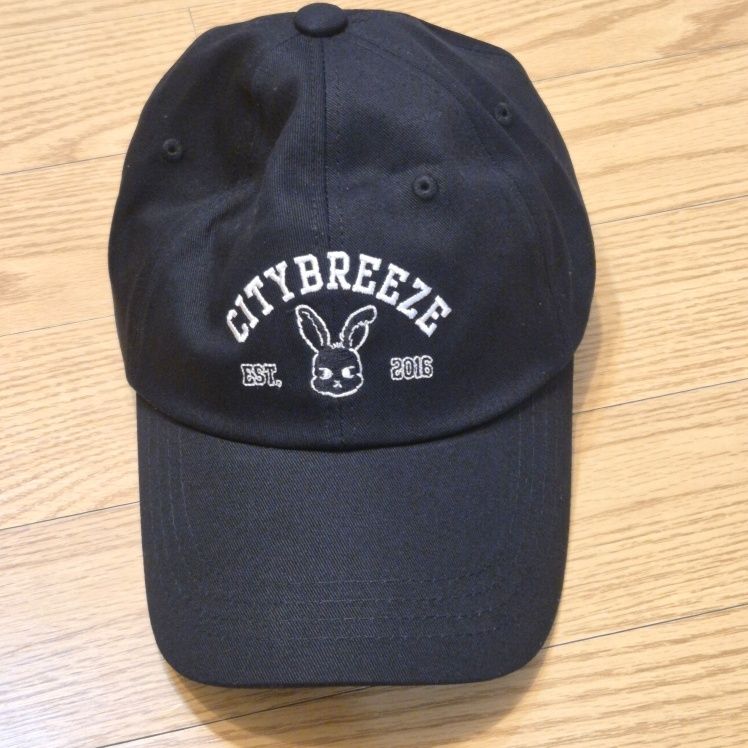 【CITYBREEZE x NCT ドヨン】CITY FLUFFY BALLCAP キャップ MUSINSA | CITYBREEZE City Fluffy Ball Cap_2COLORS