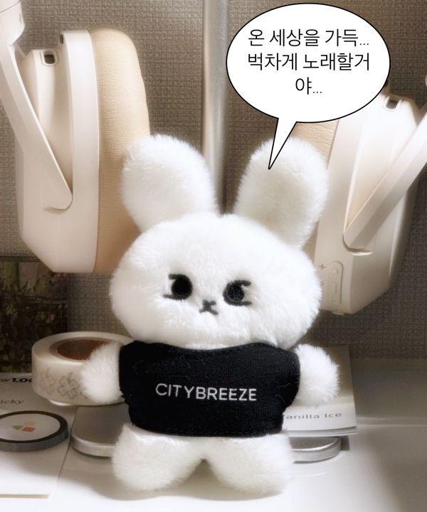 MUSINSA | CITYBREEZE UNISEX City Snappy Keyring_WHITE