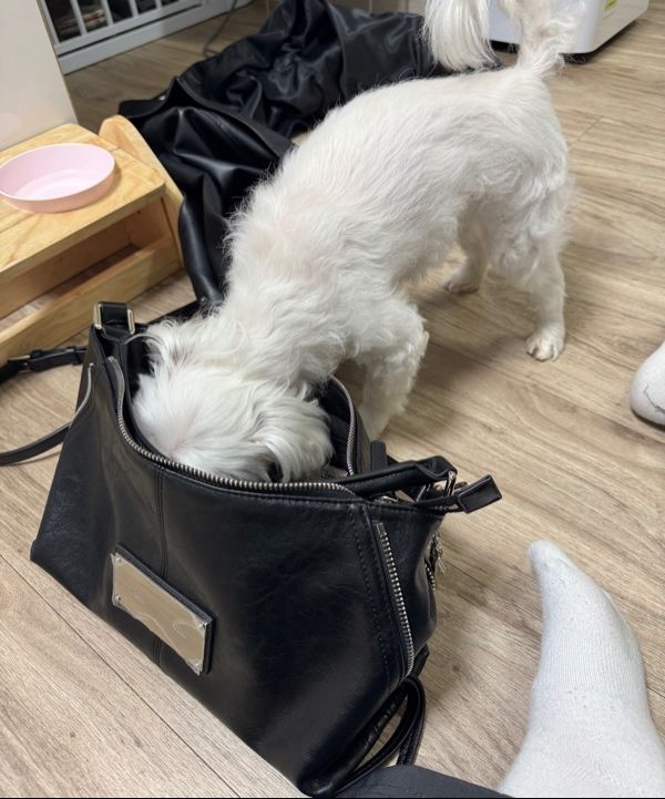 ★【MATIN KIM】 SIDE ZIPPER TWO WAY BAG★ MUSINSA | MATIN KIM SIDE ZIPPER TWO WAY BAG IN BLACK
