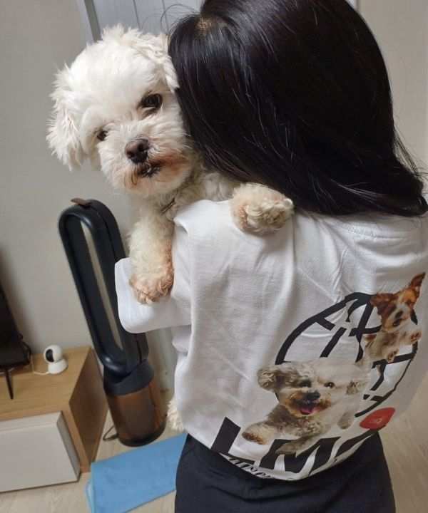 MUSINSA | LMC FLYING PUPPY TEE black