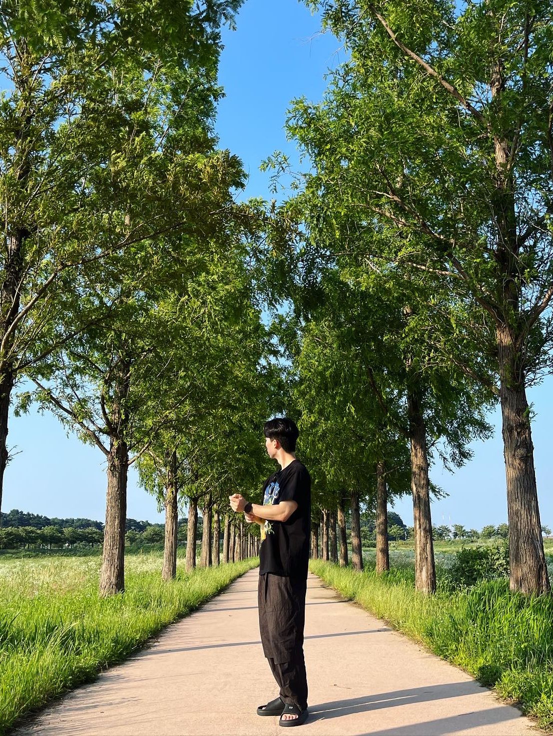 Tシャツ・カットソー SATUR Citron Summer Graphic Short Sleeve T-Shirt Saturday Iv MUSINSA | SATUR Capri Citron Retro Summer Graphic Short