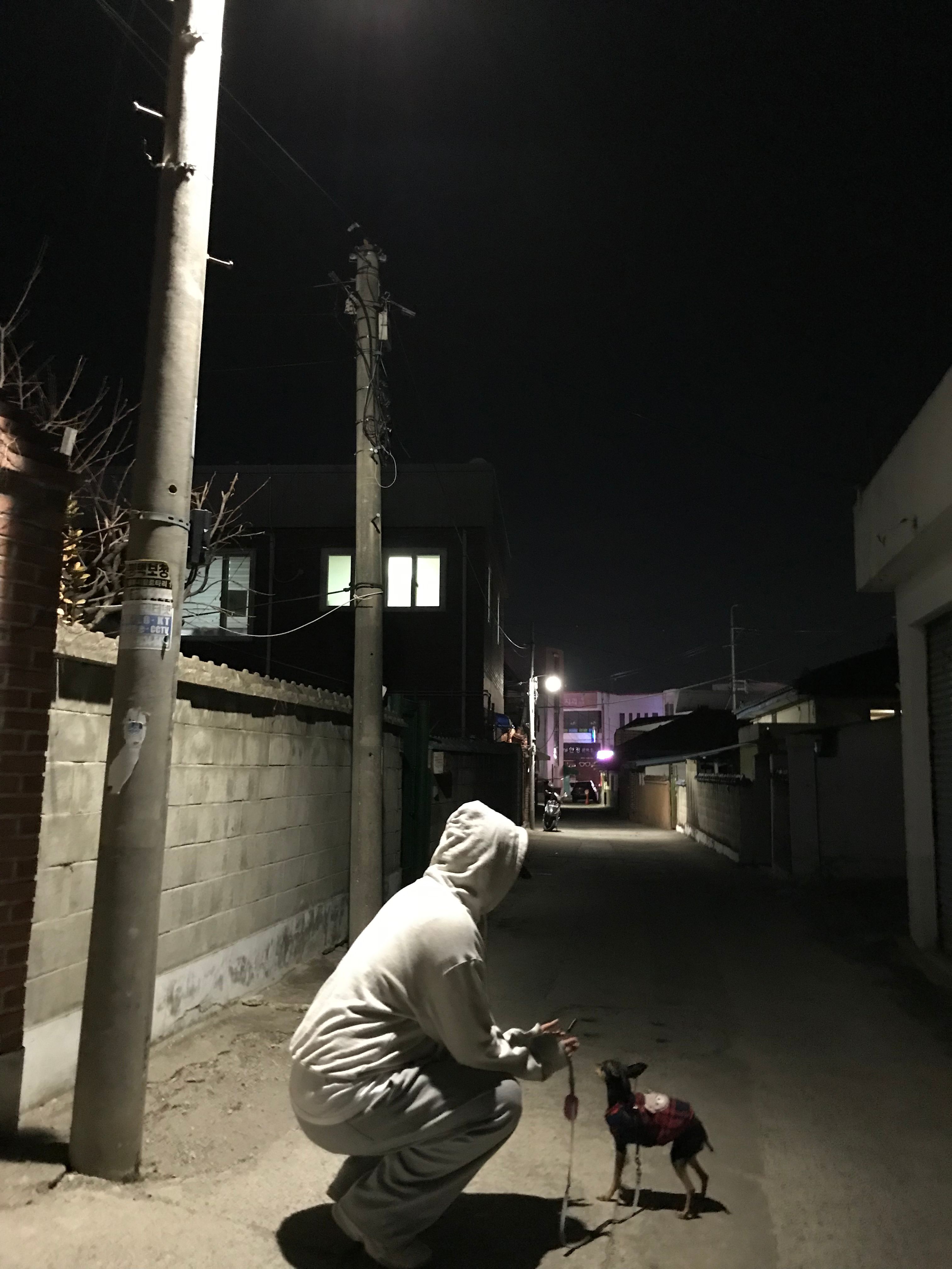 MUSINSA公式 | PHYPS マンデールーチン スティッチ フードパーカー_グレー