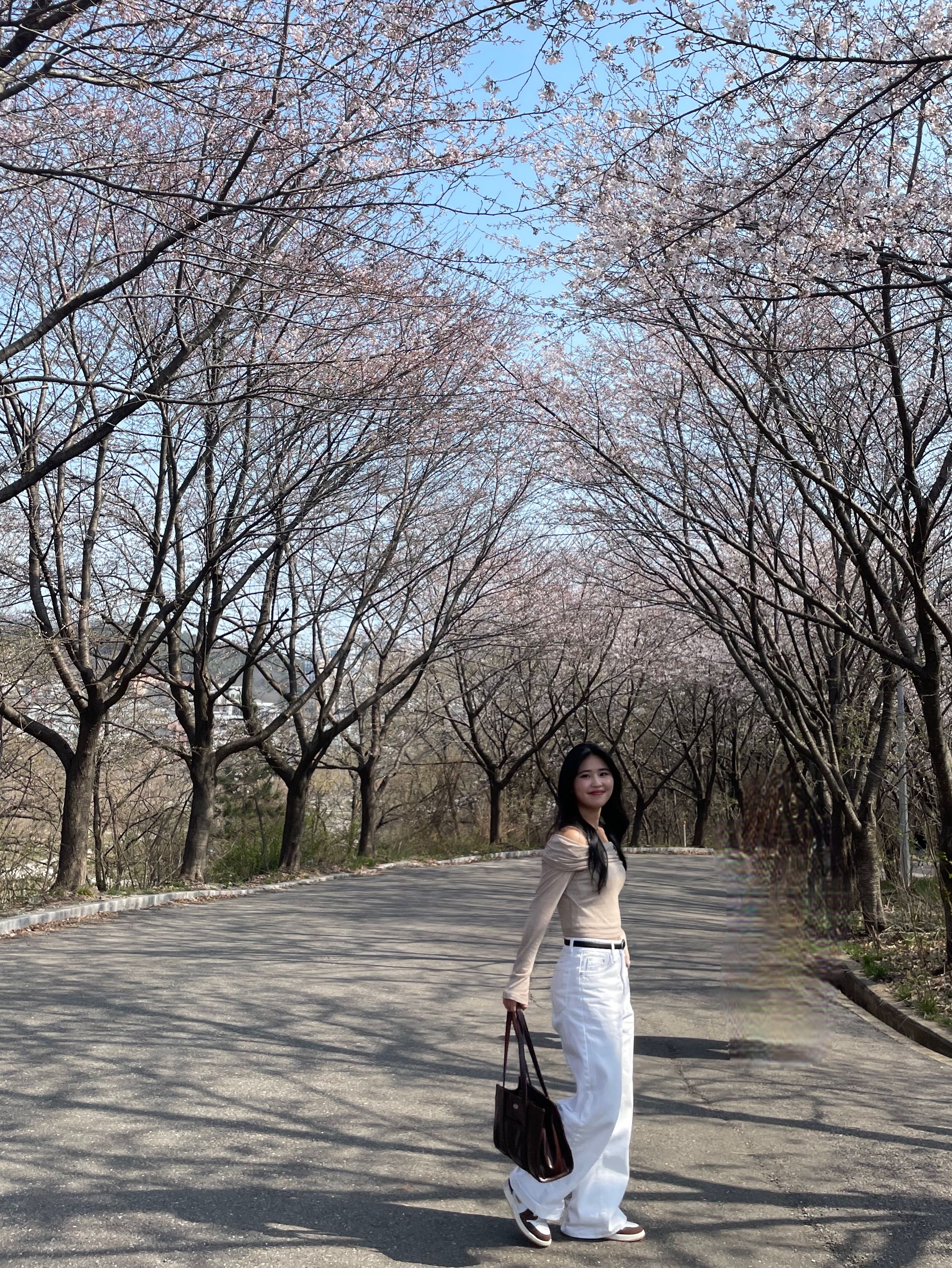 ★dumaro★ Carrie Shoulder Bag Mint MUSINSA | DUMARO Carrie Shoulder Bag / Mint