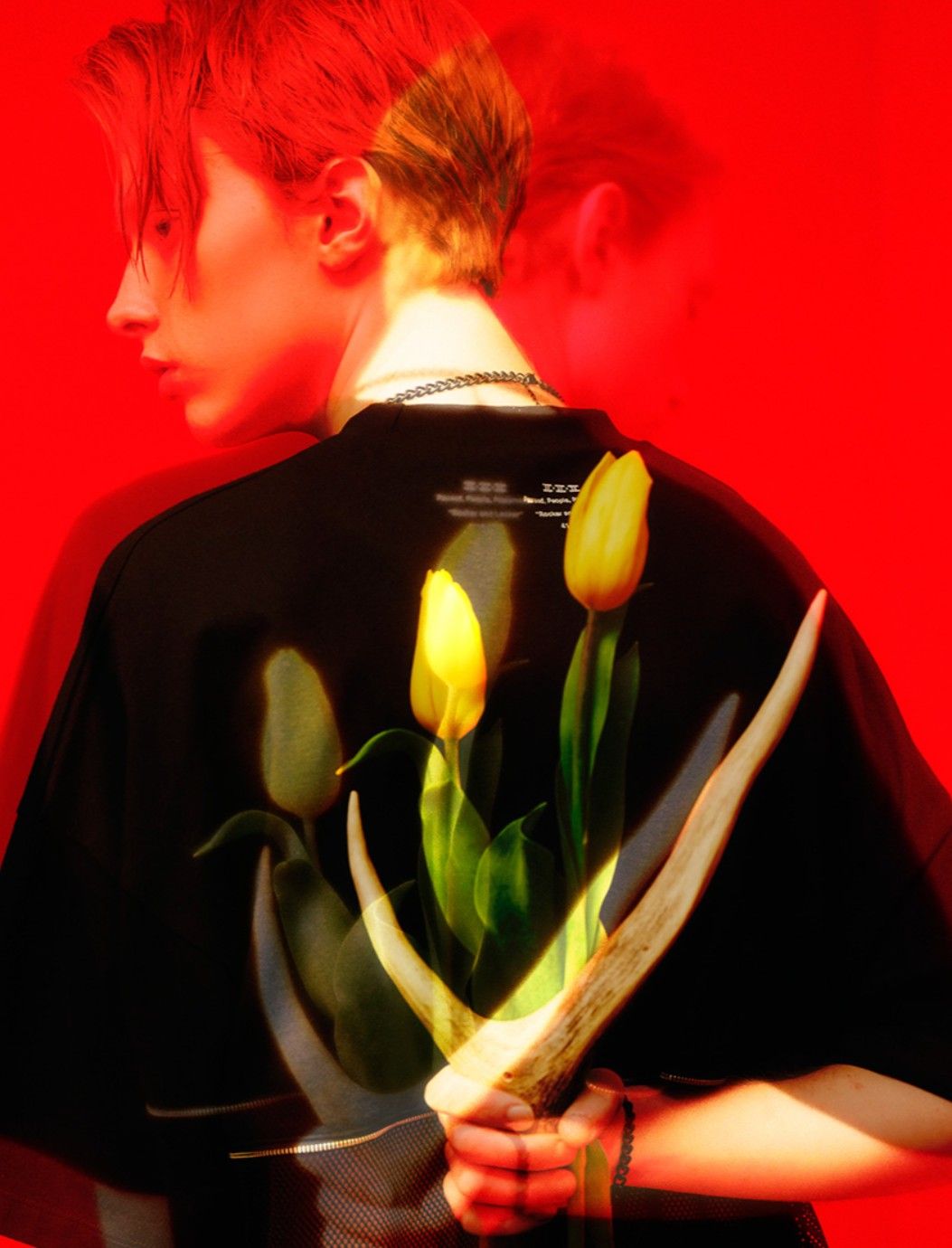 Ppp⭐︎様【954-1】120【955】120 PPP STUDIOS