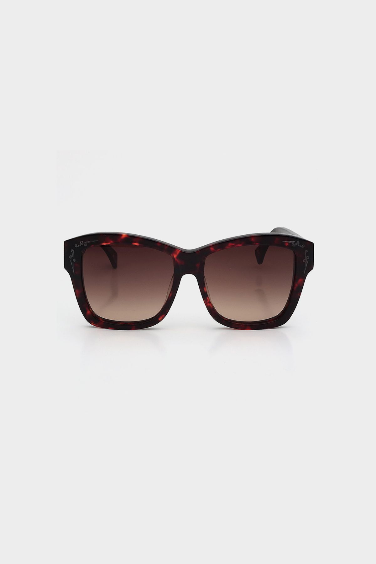 에이엠아이웨어(AM EYEWEAR) 에비베어 브라운톨토이즈