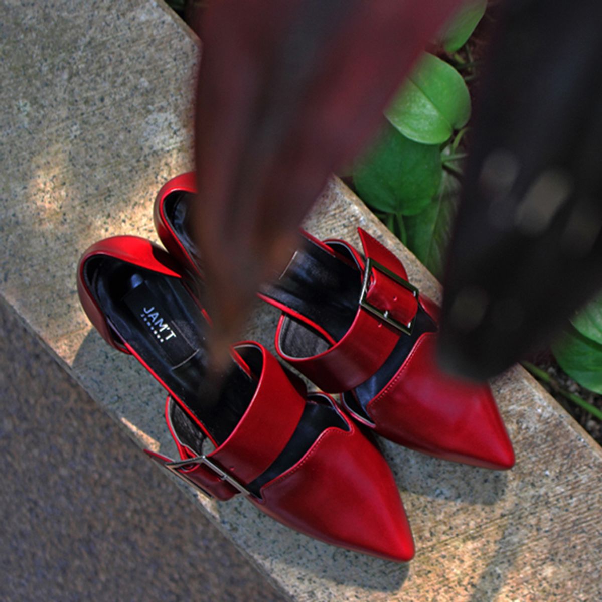 잠트(JAM'T) POLINA2-RD