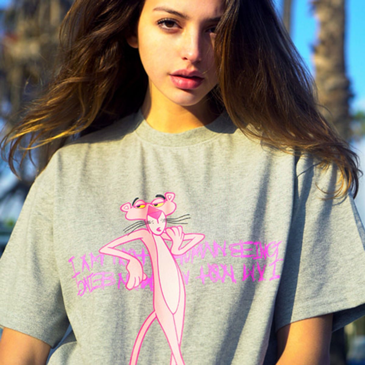 아임낫어휴먼비잉(I AM NOT A HUMAN BEING) HBXPP Pink Panther Leaning Against Our Logo T-Shirt - Grey