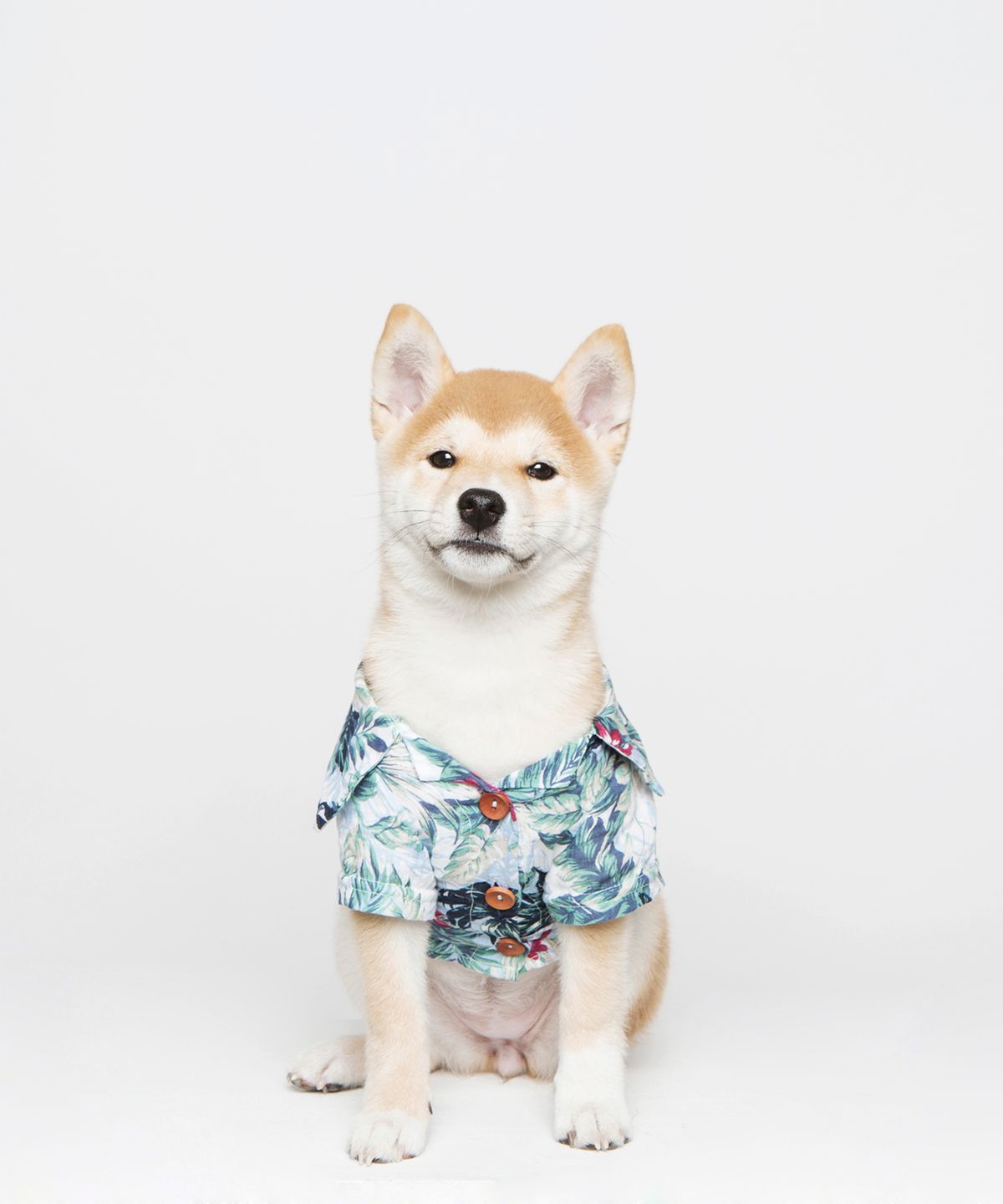 트로이스포인트(TROIS POINT) 봉주르 하와이 셔츠 (블루)