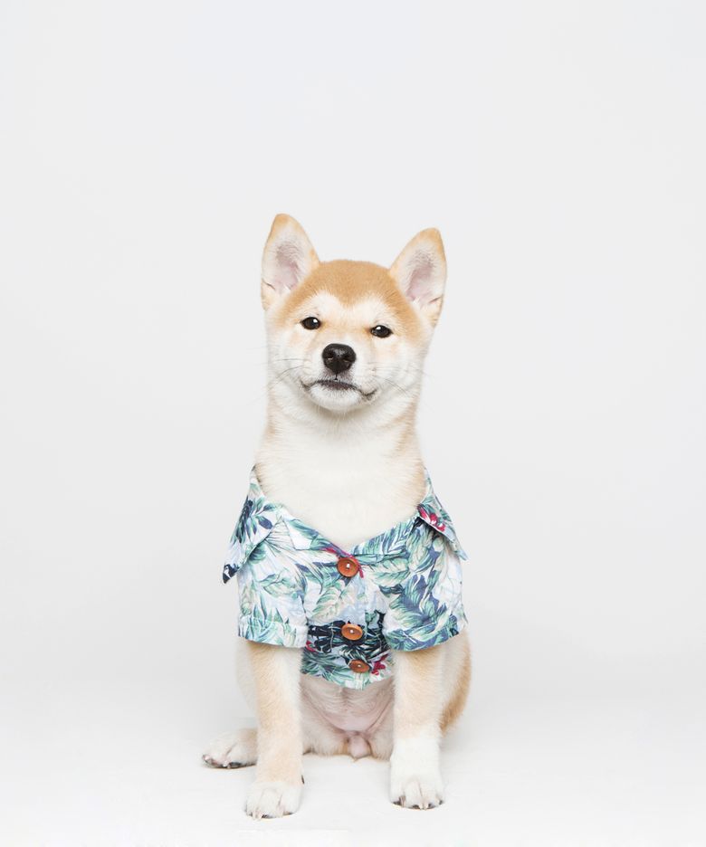 봉주르 하와이 셔츠 (블루)
