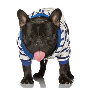 BASIC HOODY 4 BIGDOGS blue stripe