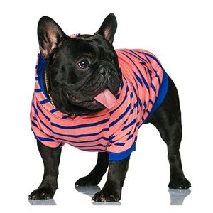 BASIC HOODY 4 BIGDOGS pink stripe