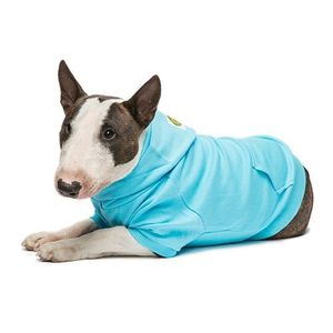 BASIC HOODY 4 BIGDOGS sky