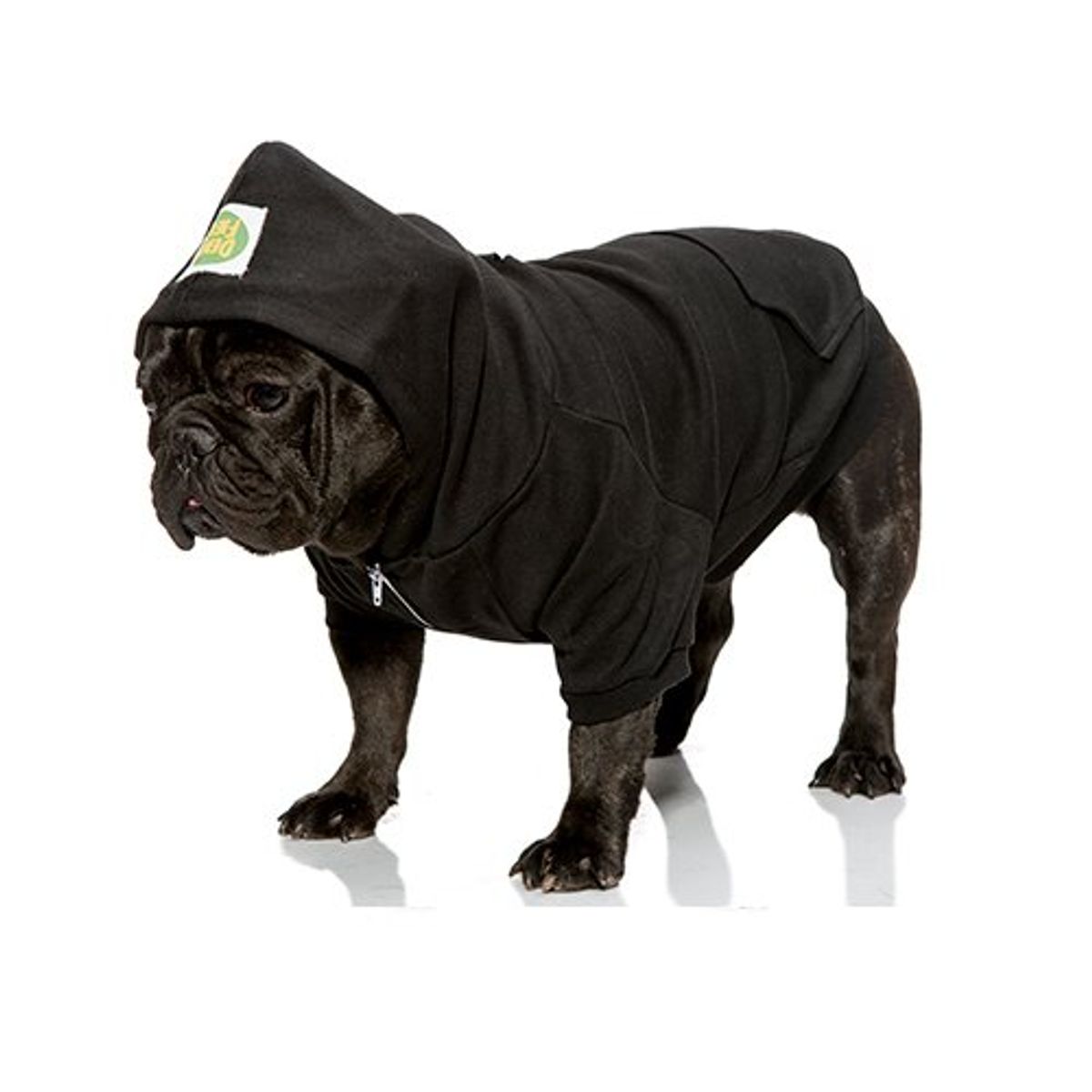 데니필드(DENNYFIELD) BASIC HOODY 4 BIGDOGS black
