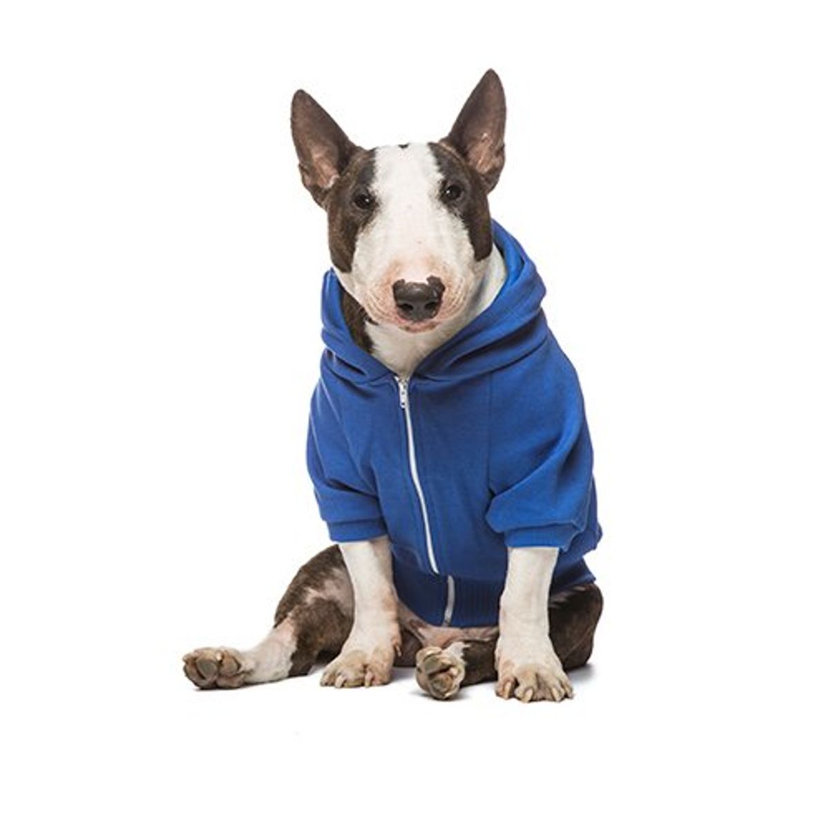 데니필드(DENNYFIELD) BASIC HOODY 4 BIGDOGS blue