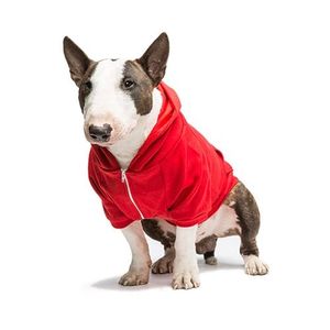 BASIC HOODY 4 BIGDOGS red