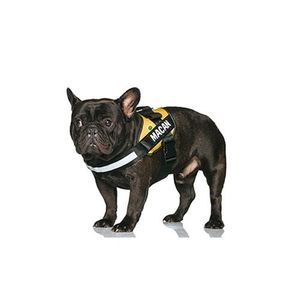 COMFY custom harness yellow