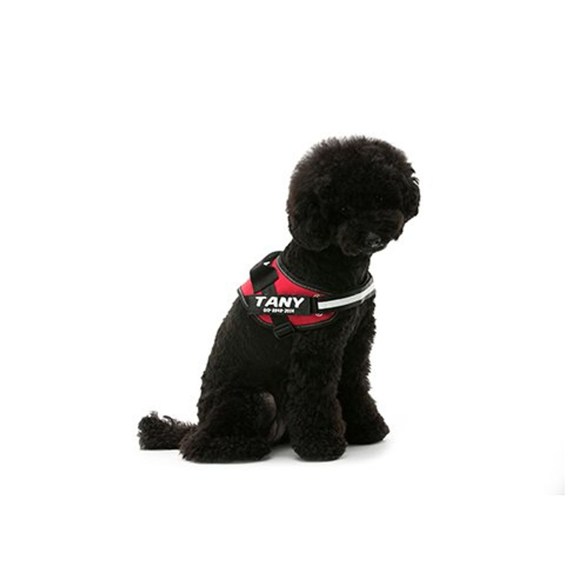 데니필드(DENNYFIELD) COMFY custom harness red