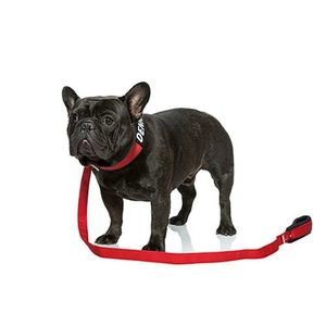 COMFY CUSTOM COLLAR red