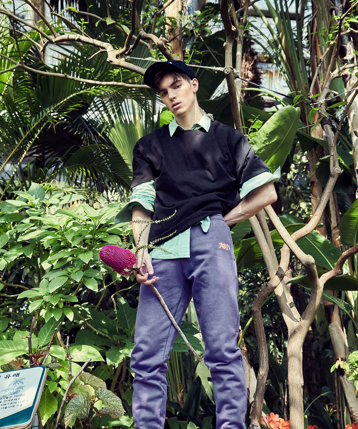 대중소(DAEJOONGSO) BUBBLES TRAINING PANTS _Very Violet