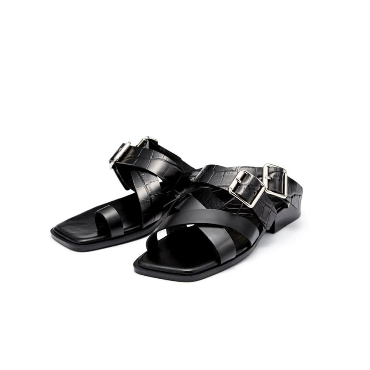 코아그먼트(COAGMENT) CM19S201-Black [DINO]