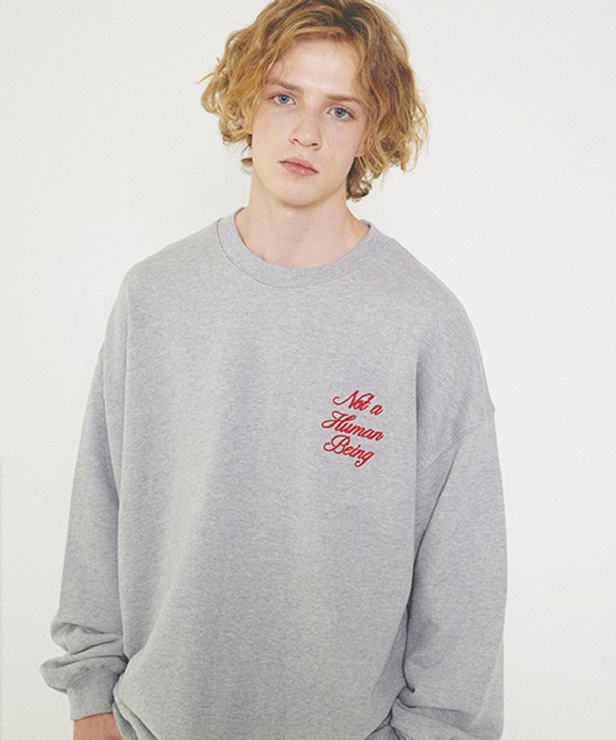 아임낫어휴먼비잉(I AM NOT A HUMAN BEING) New Basic Script Crewneck Shirts - Grey