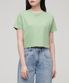우먼즈 크루 넥 크롭 티셔츠 [라이트 그린]