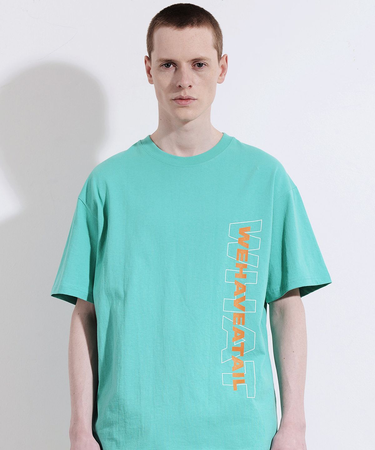 위해브어테일(WE HAVE A TAIL) LAYER LOGO TSHIRTS (MINT)